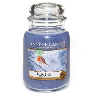 Yankee Candle svíčka ve skleněné dóze 623 g Rampouchy