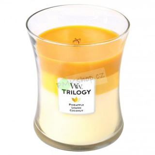 WoodWick svíčka oválná váza Trilogy 275 g Plody léta