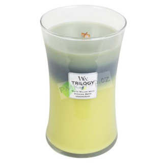 WoodWick svíčka Trilogy oválná váza 609 g Lesní stín