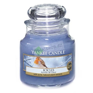 Yankee Candle svíčka ve skleněné dóze 104 g Rampouchy