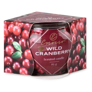 Emocio vonná svíčka ve skle s dekorem Wild Cranberry